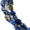 Natural Lapis Lazuli Beads Strands G-P497-01B-14-4