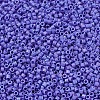 MIYUKI Delica Beads Small X-SEED-J020-DBS1597-3