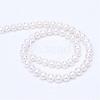 Natural Cultured Freshwater Pearl Beads Strands PEAR-R063-11-2