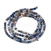 Natural Sodalite Beads Strands G-A097-A12-01-5