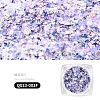 Nail Art Glitter Sequins AJEW-Q033-003F-2