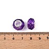 Baking Paint Transparent Glass European Beads GPDL-N004-C14mm-B05-3