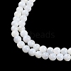 Natural Cultured Freshwater Shell Beads Strands X-BSHE-H109-03A-4