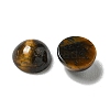 Natural Tiger Eye Cabochons G-Q173-01B-13-2