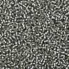 TOHO Round Seed Beads SEED-JPTR11-0029F-2