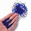 8/0 Glass Seed Beads X2-SEED-A005-3mm-28-4