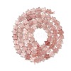 Natural Strawberry Quartz Beads Strands G-H087-C03-01-3