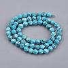 Dyed Natural Howlite Beads Strands TURQ-F010-12B-2