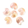Baking Paint Transparent Glass Beads DGLA-F003-01D-1
