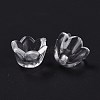 Transparent Acrylic Beads LS-X-PL548-1-3