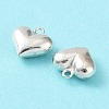925 Sterling Silver Charms STER-H106-01B-S-3