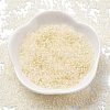 Transparent Inside Colours Glass Seed Beads X1-SEED-H003-04B-2