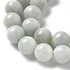 Natural Myanmar Jadeite Beads Strands G-L595-C01-03-4