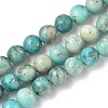 Dyed Natural Dolomite Beads Strands G-D337-8mm-D07-2