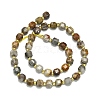 Natural Gobi Agate Beads Strand G-I376-D02-01-2