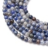Natural Blue Spot Jasper Beads Strands G-Z116-A02-2mm-4