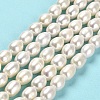 Natural Cultured Freshwater Pearl Beads Strands PEAR-E016-085-2