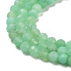 Natural Chrysoprase Beads Strands G-B088-C19-03-4