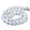 Natural Celestite/Celestine Beads Strands G-M414-A01-04-2