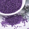 MIYUKI Round Rocailles Beads X-SEED-G007-RR1345-1