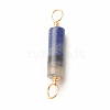 Natural Sodalite Connector Charms PALLOY-JF01454-03-3