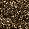 MIYUKI Delica Beads SEED-X0054-DB0022L-3