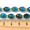 Natural Apatite Beads Strands G-N342-48-5