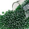 TOHO Round Seed Beads X-SEED-TR08-0108B-1