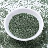 MIYUKI Delica Beads SEED-X0054-DB1845-2