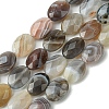 Natural Botswana Beads Strands G-H004-B02-04-2