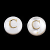 Natural Freshwater Shell Beads SHEL-N036-01C-2