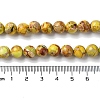 Natural Imperial Jasper Beads Strands G-I122-8mm-25-5