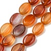 Natural Red Agate(Dyed & Heated) Beads Strands G-K365-B02-01-1