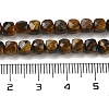 Natural Tiger Eye Beads Strands G-H042-A04-03-5