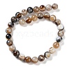 Natural Eye Agate Beads Strands G-NH0019-F02-01-3