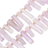 Natural Amethyst Beads Strands G-F829-A07-01-1