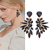 1 Pair Resin Wing Dangle Stud Earrings EJEW-LP0001-23C-1