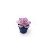 Mini Resin Artificial Succulent Plant Ornaments MIMO-PW0001-191H-1