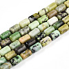 Natural Serpentine Beads Strands G-N346-01B-04-2