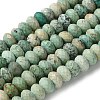 Natural Turquoise Beads Strands G-I378-B03-02-2