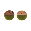 Opaque Resin & Walnut Wood Stud Earrings X-EJEW-N017-008-B08-4