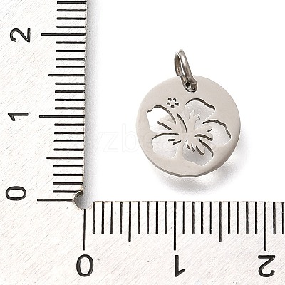 304 Stainless Steel Charms LS-STAS-Z119-14P-1