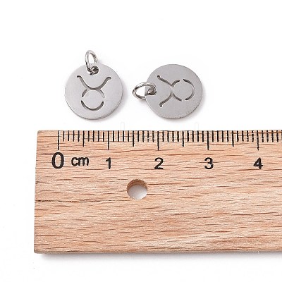 Non-Tarnish 304 Stainless Steel Charms STAS-Q201-T445-2S-1