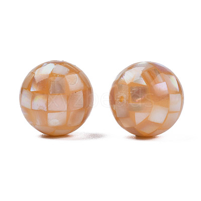 Natural Pink Shell Beads SHEL-N026-189A-01-1