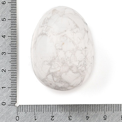 Natural Howlite Palm Stones LS-G-I367-04B-1