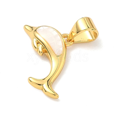 Brass Enamel Pendants KK-H534-01B-G01-1