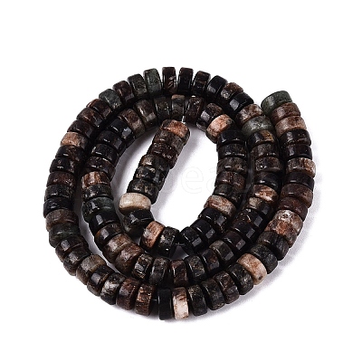 Natural Biotite Beads Strands G-N367-03A-13-1