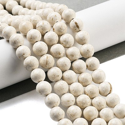 Natural Fossil Beads Strands G-H026-02D-1