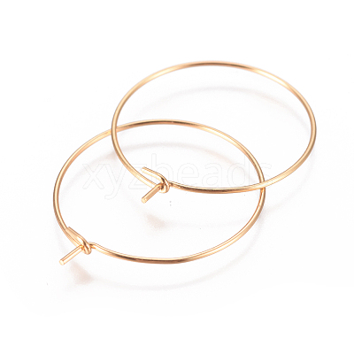 304 Stainless Steel Hoop Earrings Findings STAS-F227-54B-G-1