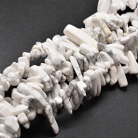 Natural Howlite Chip Beads Strands G-E271-53-1